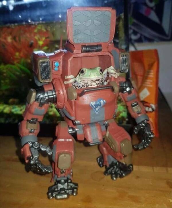 Let’s Give It Up for The Furry Stars Of The Screen