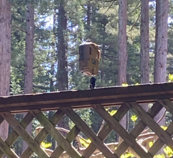 Unidentified Stuff That Got Explained Online