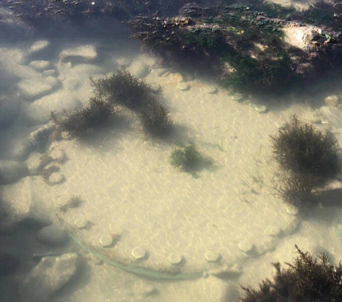 Unidentified Stuff That Got Explained Online