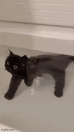 Daily Gifdump Daily Gifdump