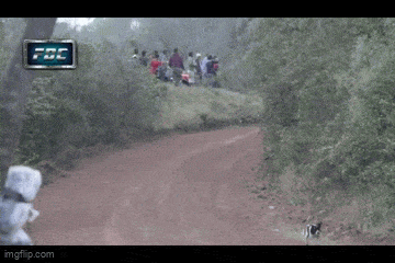 Daily Gifdump Daily Gifdump