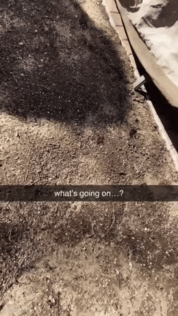 Daily Gifdump Daily Gifdump