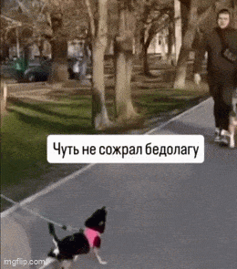 Daily Gifdump Daily Gifdump