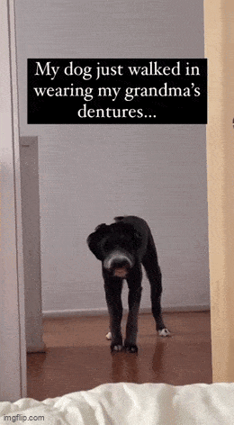 Daily Gifdump Daily Gifdump