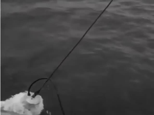 Checking If A Deep Sea Diver Is Still Alive After Descending Over 3,000 Feet In The 1930s