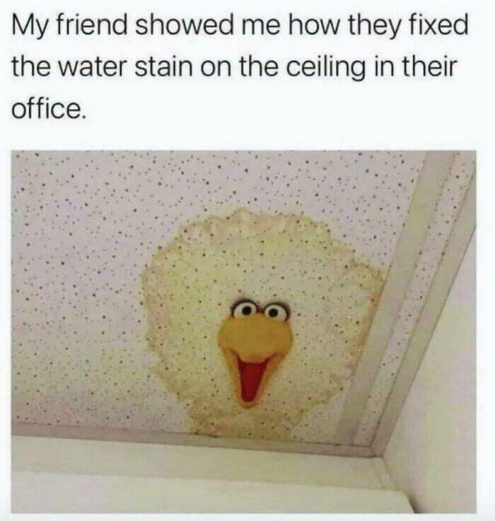 From Restroom Walls To Bus Seats Vandalism Moments That Deserve A Museum