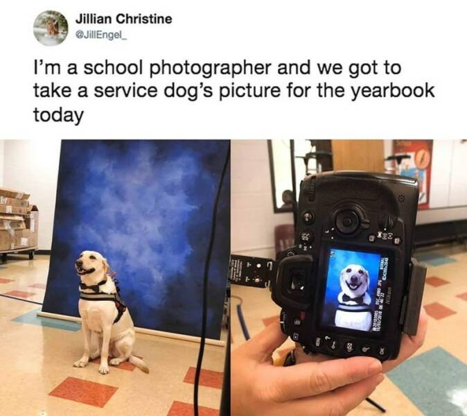 Funny Picdump Funny Picdump