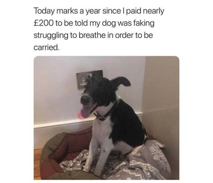 Funny Picdump Funny Picdump