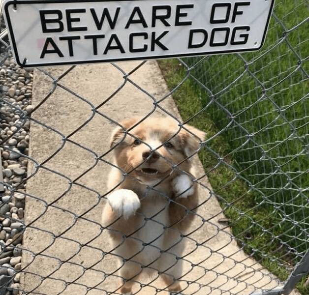 Funny Picdump Funny Picdump