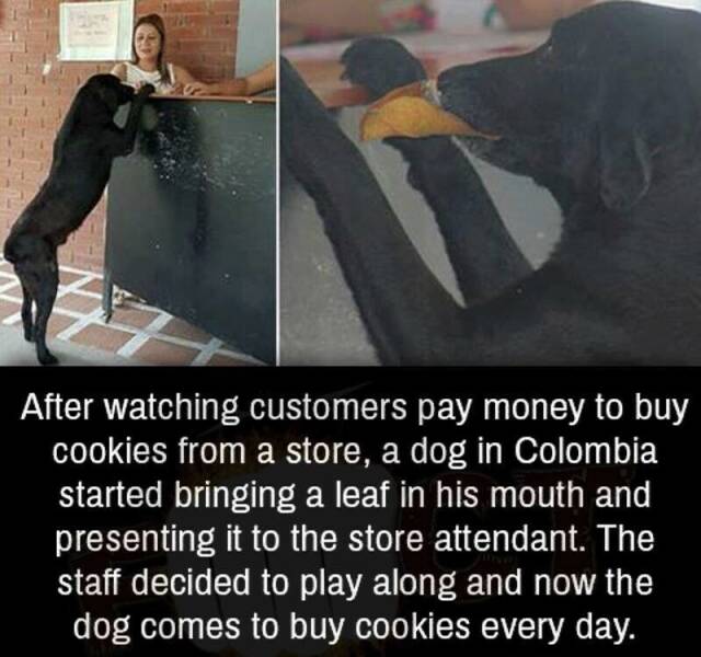 Funny Picdump Funny Picdump