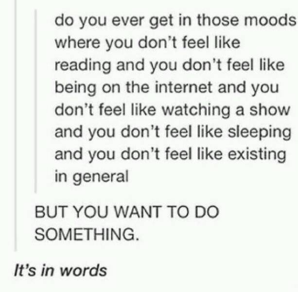 Funny Picdump Funny Picdump