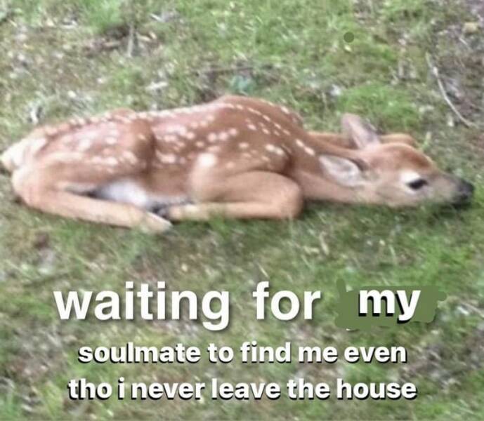 Funny Picdump Funny Picdump