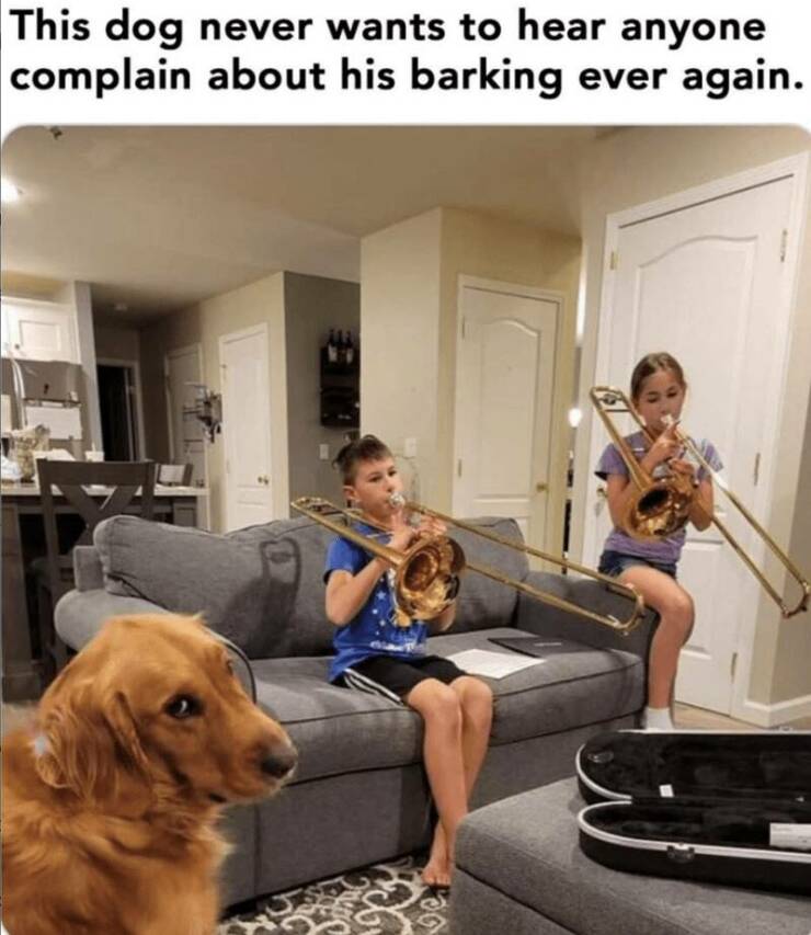 Funny Picdump Funny Picdump