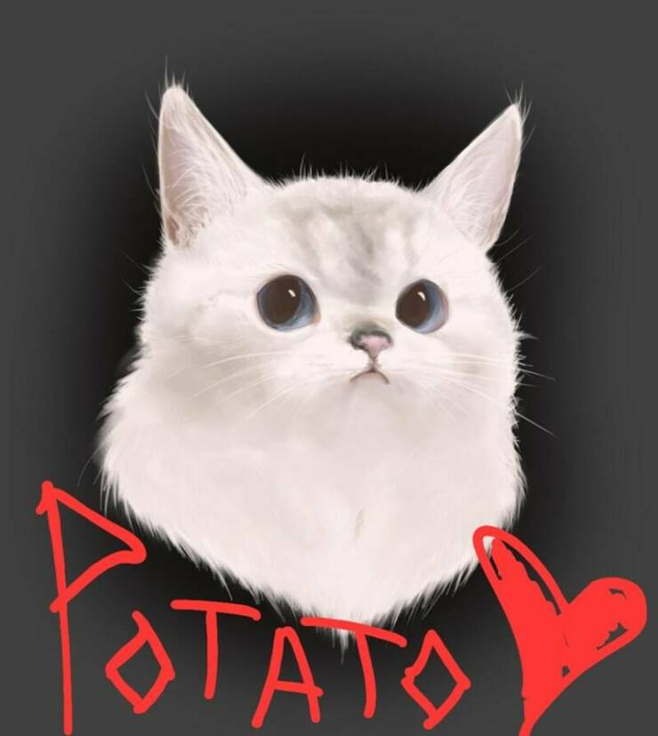 Funny Picdump Funny Picdump