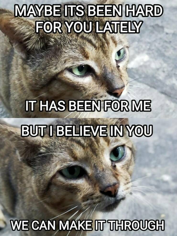 Funny Picdump Funny Picdump