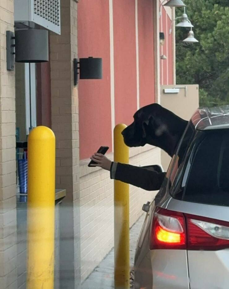 Morning Picdump Morning Picdump