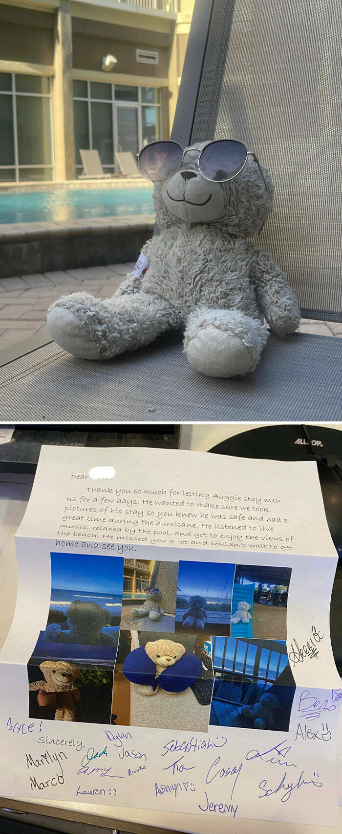 Wholesome Moments That Will Warm Your Soul