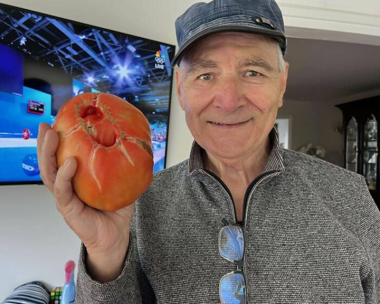 Wholesome Moments That Will Warm Your Soul