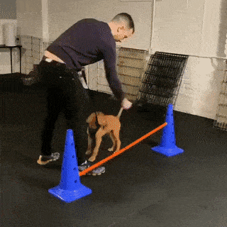 https://img.izismile.com/img/img15/20250502/gifs/daily_gifdump_4991_08.gif
