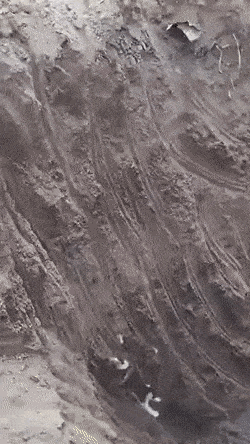 Daily Gifdump Daily Gifdump