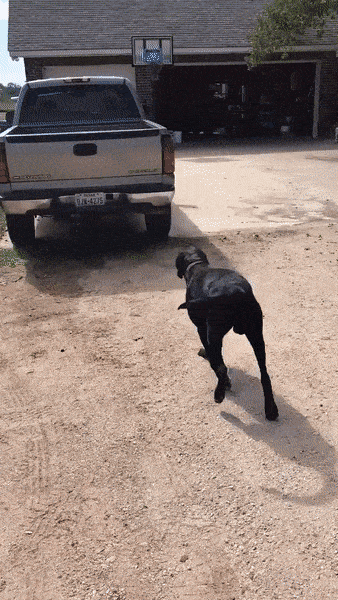 Daily Gifdump Daily Gifdump