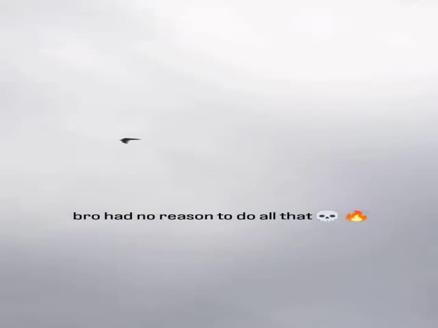Birb Exhibition Flight