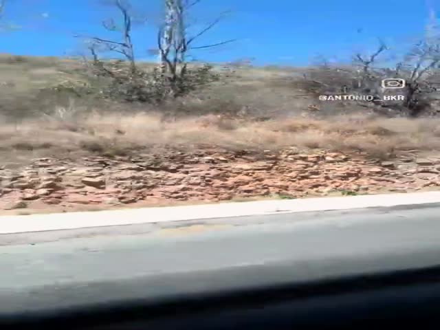Out For A Ride