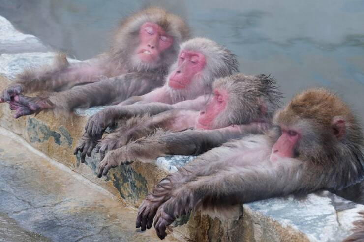 Daily Picdump [WEEKEND EDITION]