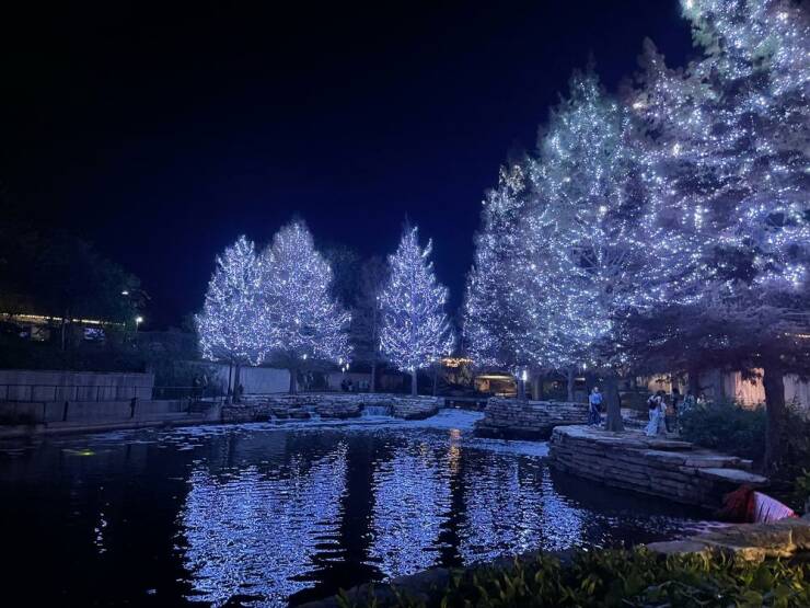 Daily Picdump [WEEKEND EDITION]