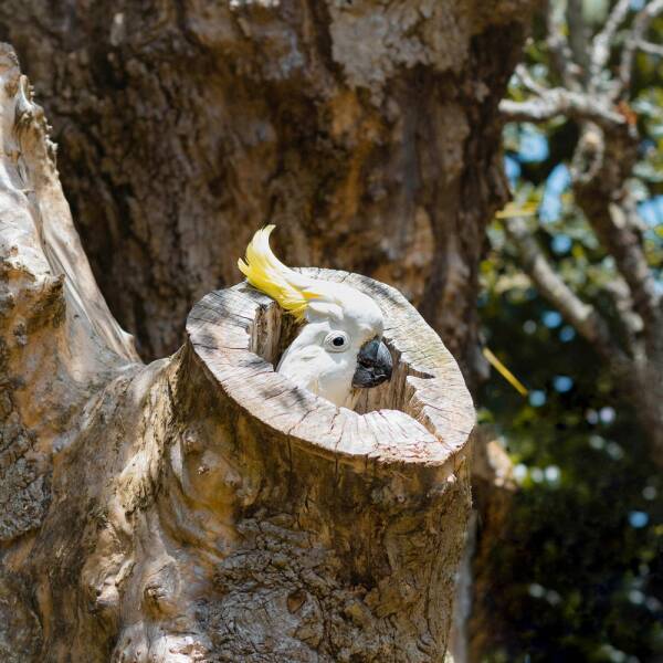 Daily Picdump [WEEKEND EDITION]