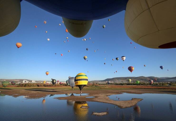 Daily Picdump [WEEKEND EDITION]