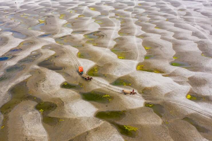 Daily Picdump [WEEKEND EDITION]