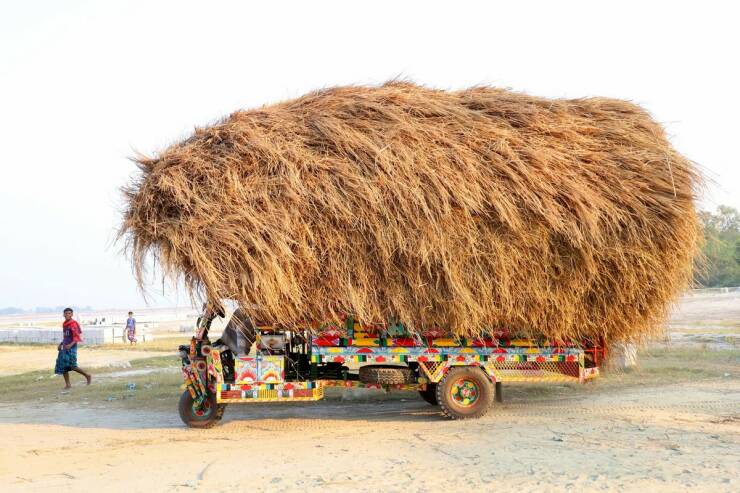 Daily Picdump [WEEKEND EDITION]