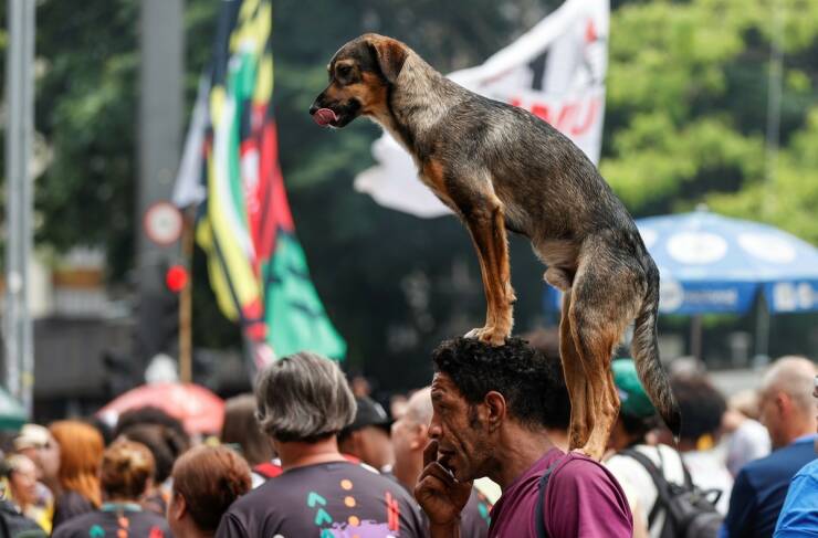 Daily Picdump [WEEKEND EDITION]