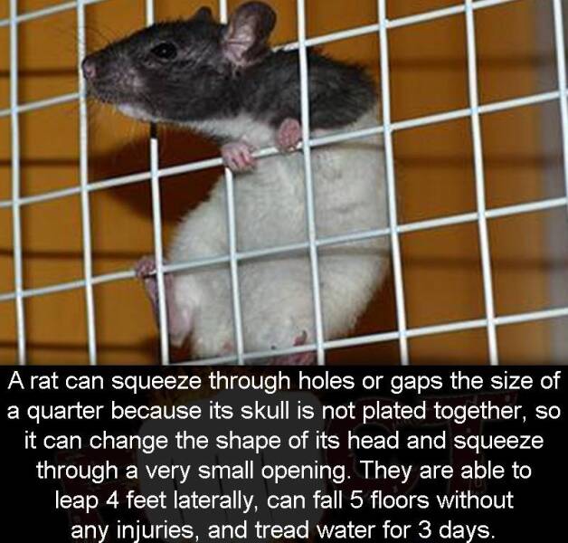 Daily Picdump [WEEKEND EDITION]