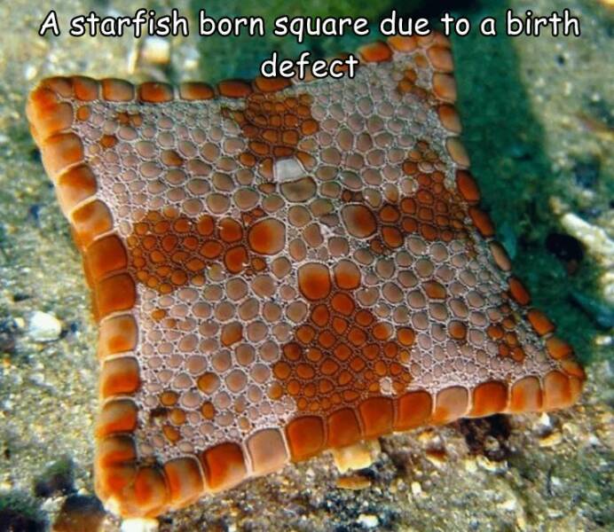 Daily Picdump [WEEKEND EDITION]