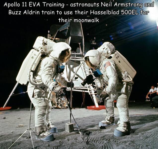 Daily Picdump [WEEKEND EDITION]