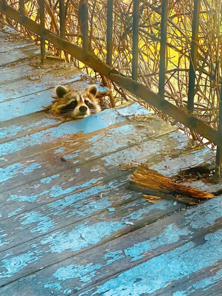 Daily Picdump [WEEKEND EDITION]