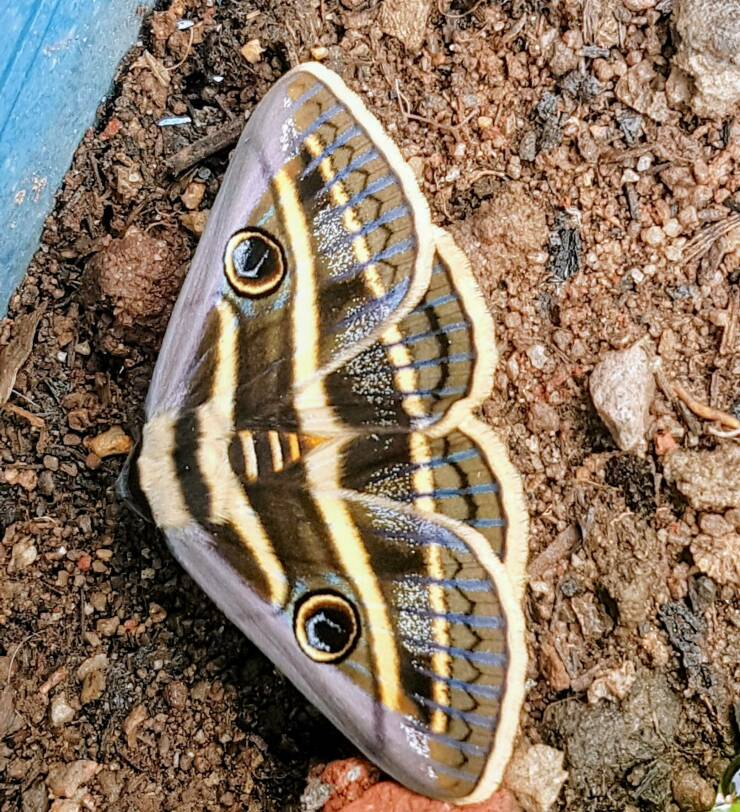 Daily Picdump [WEEKEND EDITION]