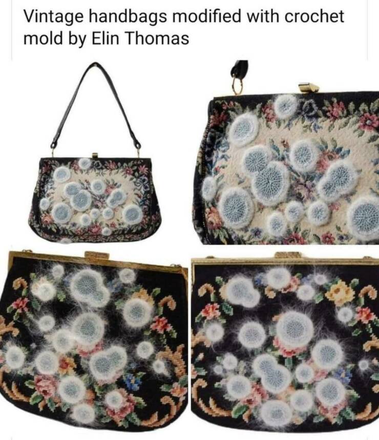 Daily Picdump [WEEKEND EDITION]