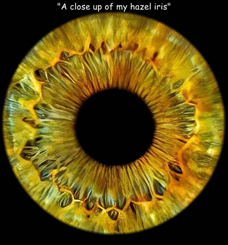 Daily Picdump [WEEKEND EDITION]