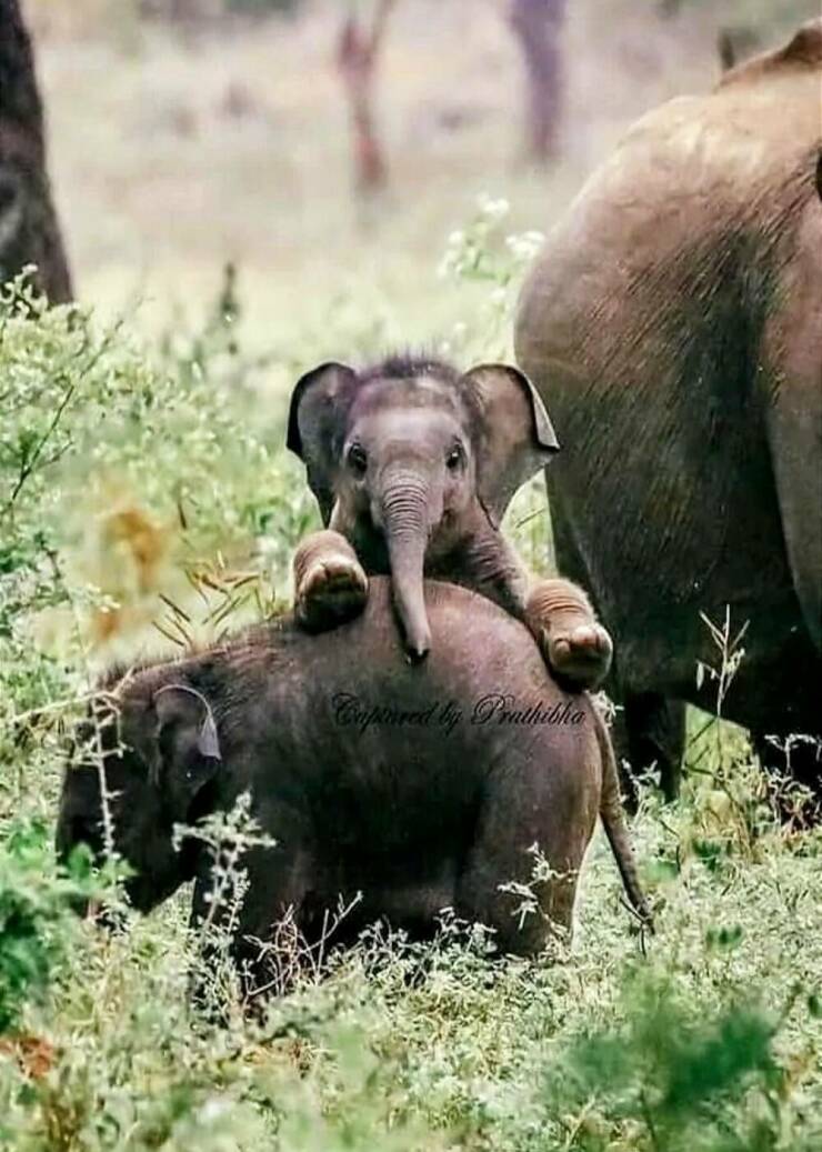 Daily Picdump [WEEKEND EDITION]