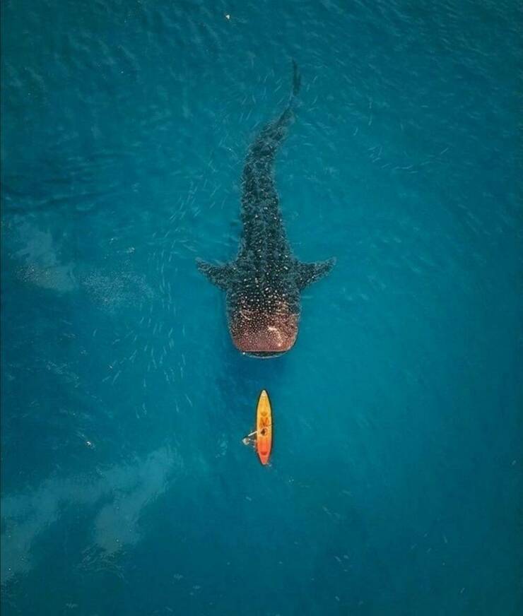 Daily Picdump [WEEKEND EDITION]