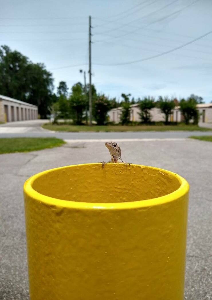 Daily Picdump [WEEKEND EDITION]