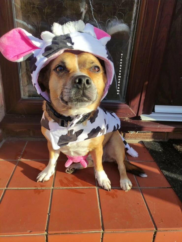 Daily Picdump [WEEKEND EDITION]