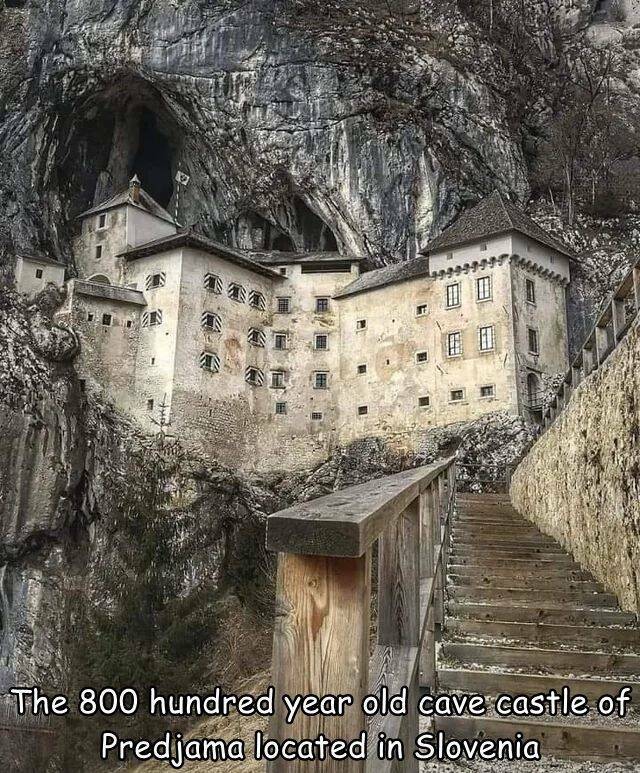 Daily Picdump [WEEKEND EDITION]