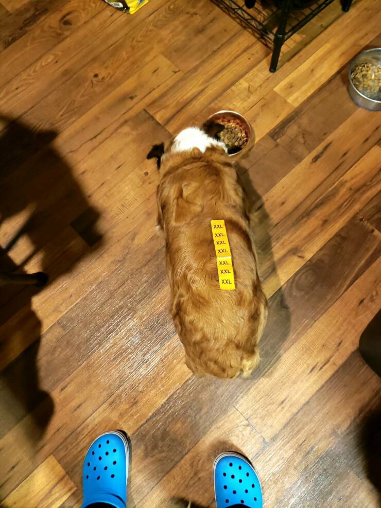 Daily Picdump [WEEKEND EDITION]