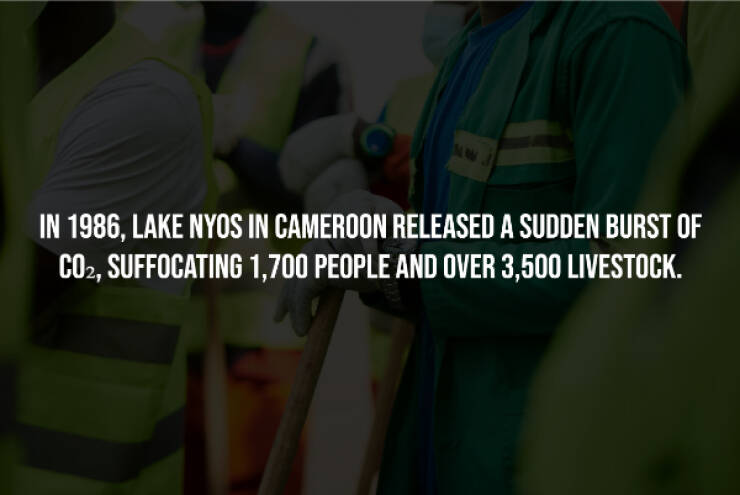 Sinister Secrets Hidden In Plain Sight