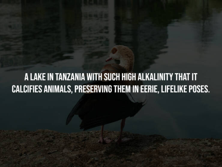 Sinister Secrets Hidden In Plain Sight