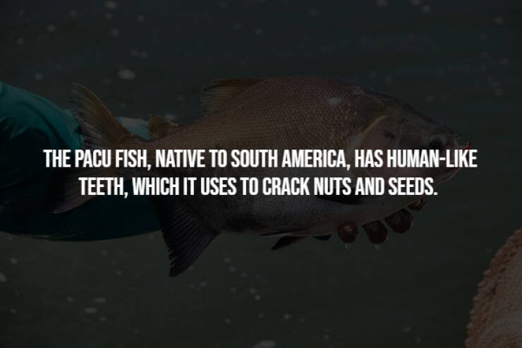 Sinister Secrets Hidden In Plain Sight